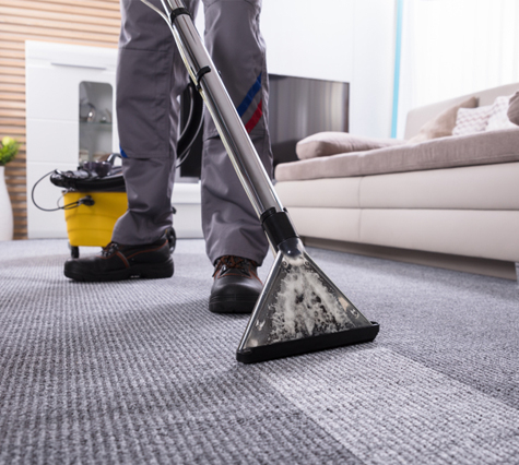 carpet cleaning Munster