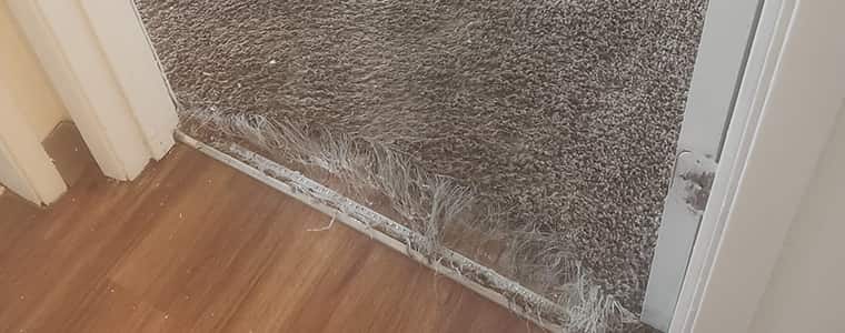 Carpet Repair Seville Grove