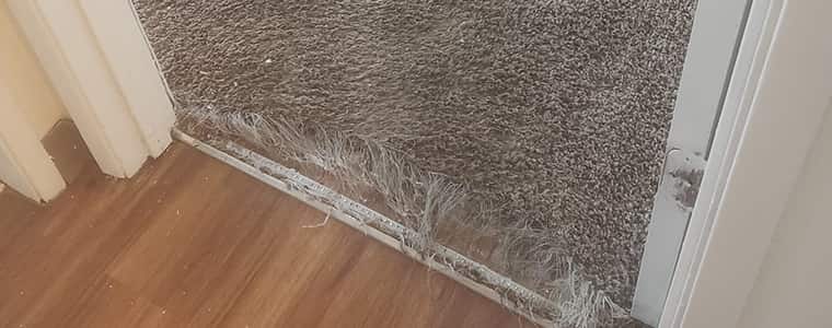 Carpet Repair Cottesloe