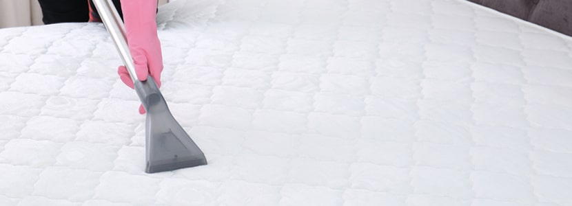 Mattress Cleaning Ridgewood