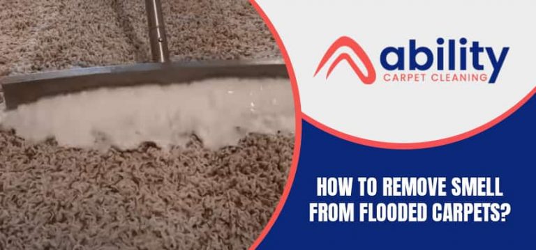 emove Smell From Flooded Carpets